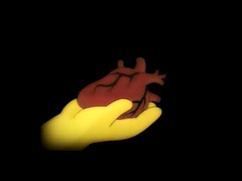 NELSON 014 -  11 de Julio