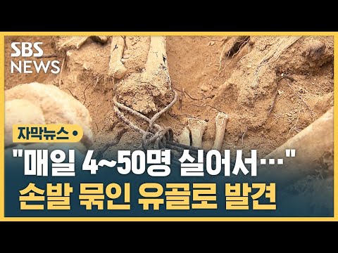 매일 4~50명 실어서… 손발 묶인 유골 무더기 발견 (자막뉴스) / SBS