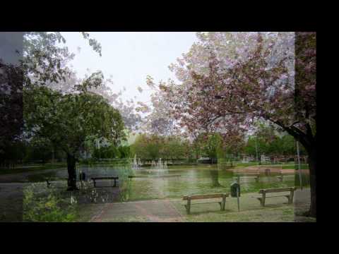 Das leichteste der Welt...... Kid Kopphausen