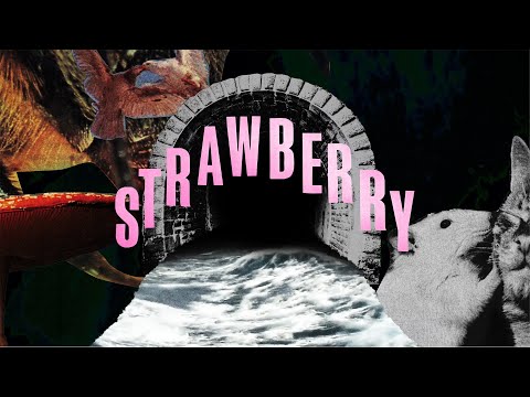 Equal Idiots - Strawberry (Official Music Video)