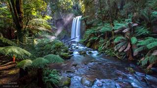Download lagu Suara Alam Membuat Tenang Fikiran - Suara Burung Dan Air Mengalir mp3