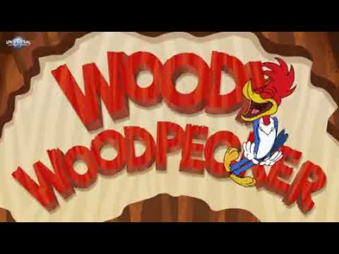 Woody Woodpecker is Back    Check out the New Seri240P