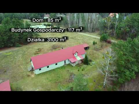 SIEDLISKO W PUSZCZY KURPIOWSKIEJ