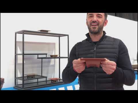 The Bonsai Pot Display at The Trophy, Genk Belgium