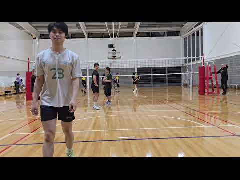 Perry Park 1B - 6 Inch Vertical vs Paw Form