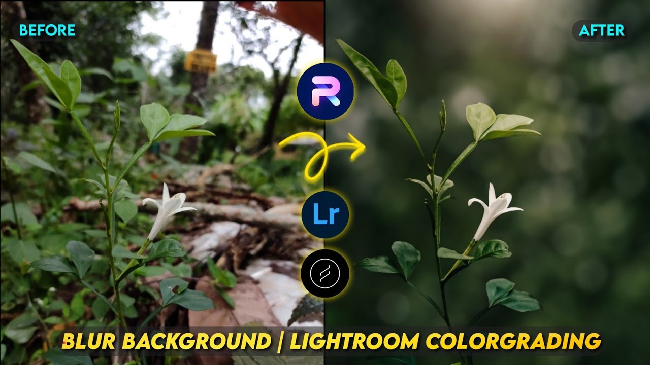 Blur Image Background | Mobile Photo Editing Tutorial | Lightroom Colorgrading | PhotoRoom Editing video thumbnail
