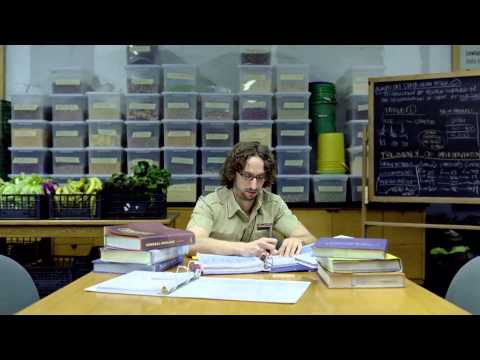 DIRECTV (Don't Get Body Slammed by a Lowland Gorilla) January 2014