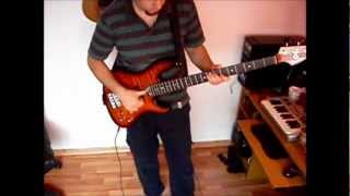 RHCP - Shallow be thy name (Bass Cover)