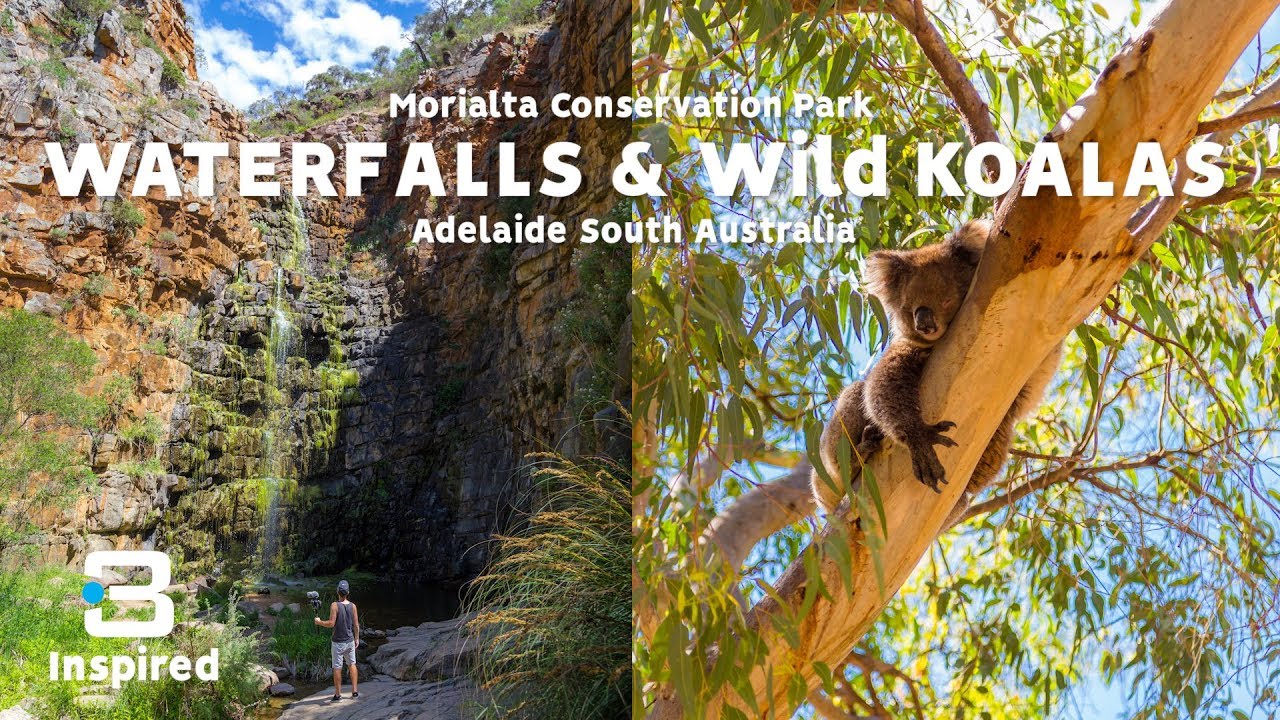 Join a duo as they explore Morialta Conservation Park.