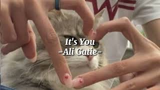 Download lagu Ali Gatie - It's You「speed up」 mp3