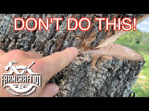 No Nonsense Guide to Tree Felling.  How to cut down a tree safely.  FarmCraft101