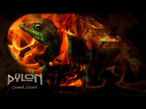 Pÿlon – Cosmik Lizard