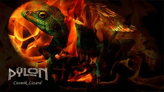 Pÿlon – Cosmik Lizard