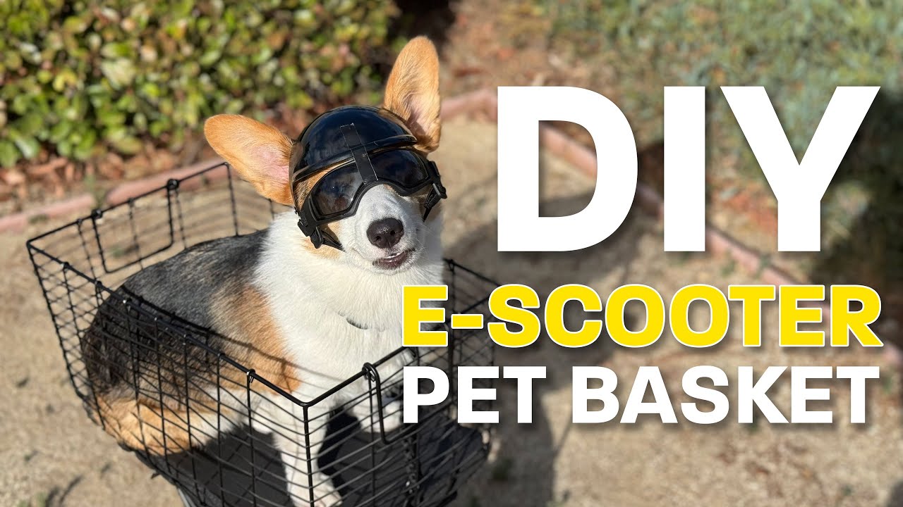 DIY E-Scooter Pet Basket for Ainohot Volt