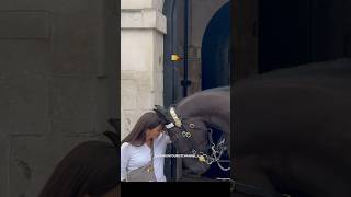 King’s Horse Recognised A Good Soul!