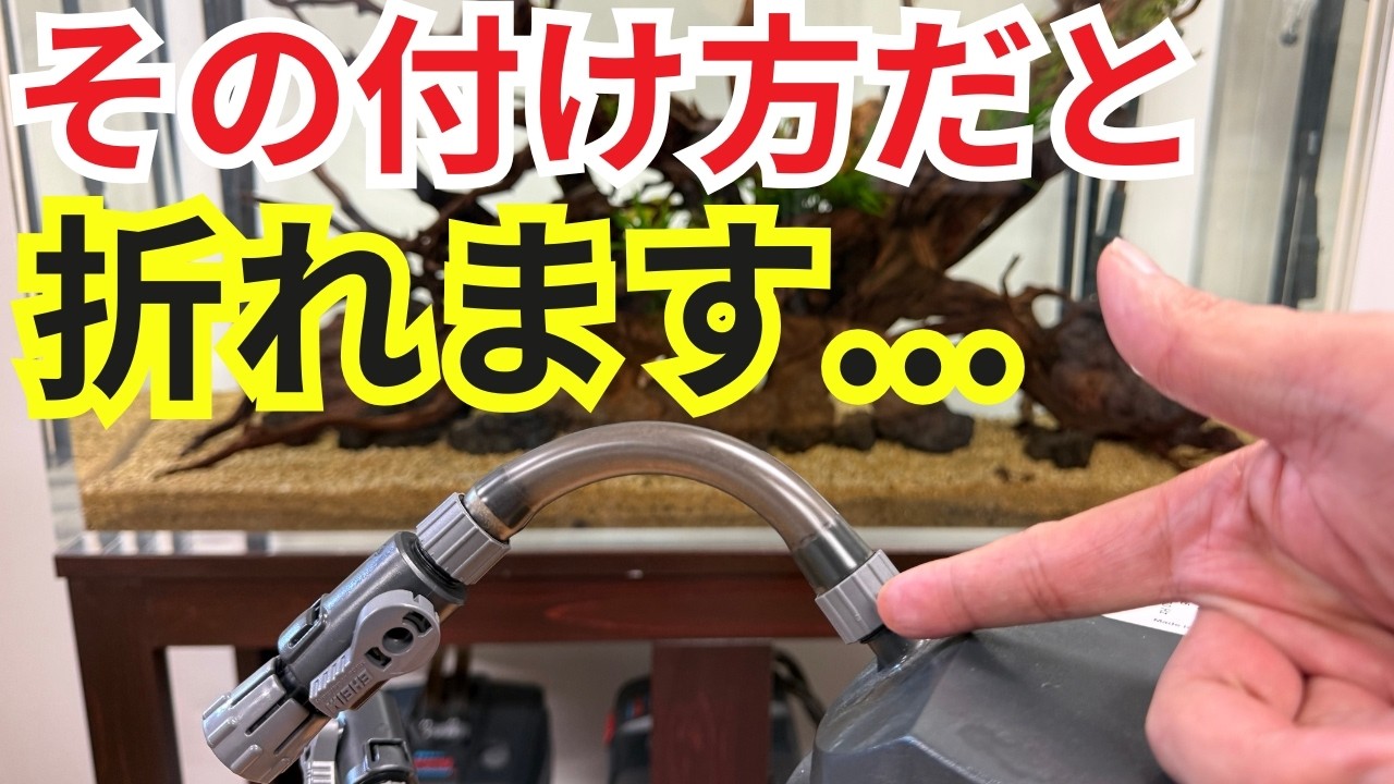 ろ過フィルターが壊れてしまうのは、正しい使い方を知らないから？水槽管理業者がお答えします！