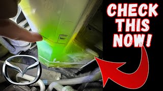 Mazda 2.5T Coolant Leak – Are You About to Lose Your Engine?