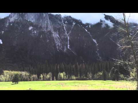 Frogs in Sentinel Meadow