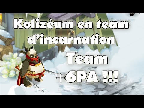 comment monter le niveau d'une incarnation dofus