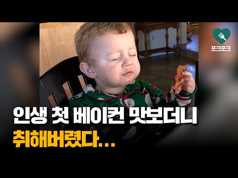 아이콘