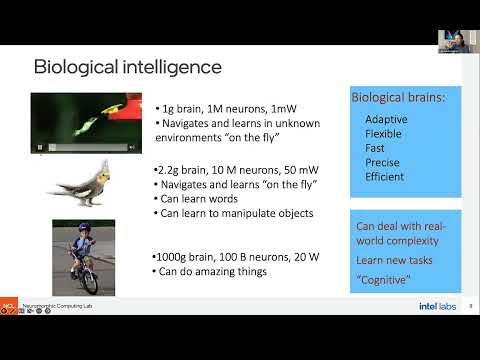 tinyML Neuromorphic Engineering Forum - Yulia Sandamirskaya: Neuromorphic intelligence and...