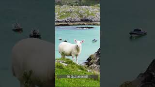 Achmelvich Beach on Scotland's NC500