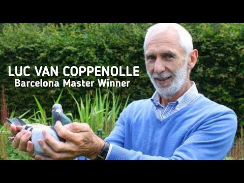 Strong and Indefatigable Long Distance breed - LUC van Coppenolle