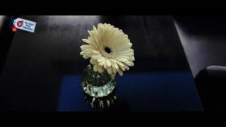 Lancaster Gate Hotel Londen | De Jong Intra Vakanties