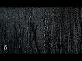 Heavy Rain On Bedroom Window Black Screen Relaxing Rain Sounds For Sleep Study Meditation