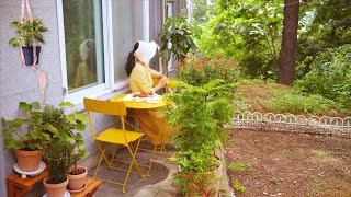 정원 청소와 정리🌺새로운 식물키우는 주택 일상 | 작은 마당있는 집