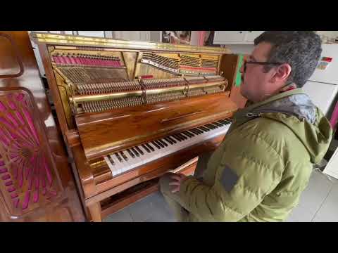 Steinway&Sons Model V 1924 image 15