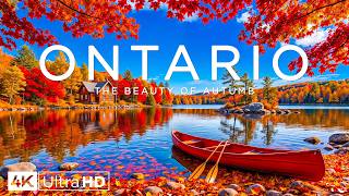 Ontario Autumn 4K 🍁 Canadian Fall Beauty | Maple Forests, Algonquin Lakes & Rustic Landscapes