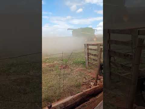 Parana, Centenário do sul #farming