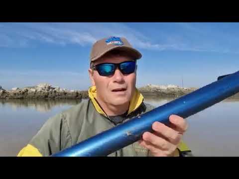 Novateur Prawn Pumps - ghost shrimp bait pump, bloodworm presentation by Dean Dickinson