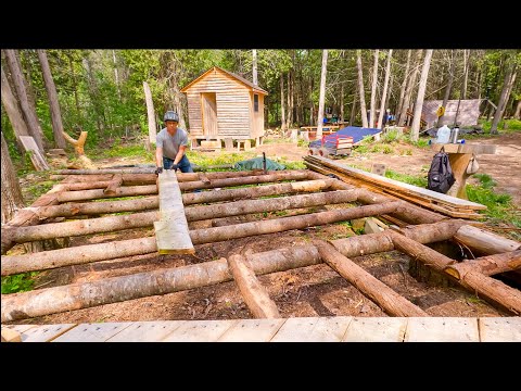 Is Building with Un-Peeled Logs a Disaster?  (After Three Years I Have an Answer.)  ep142
