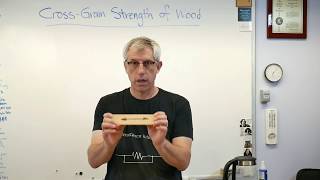 Cross Grain Strength of Wood - Brain Waves