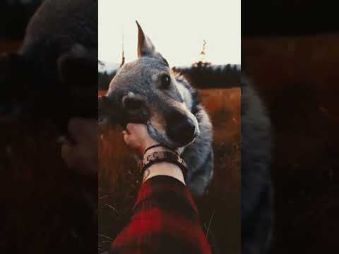 #life #lonely #freedom