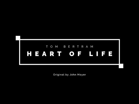 John Mayer - Heart Of Life (Tom Bertram Cover)