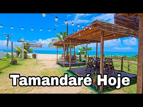 Tamandaré Pernambuco O Mar Azul Igual Ao Caribe E Maldivas