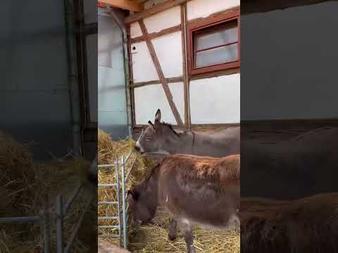 Summer in Duderstadt is calling ☀️