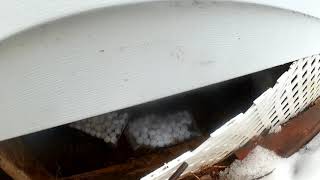 Using moth balls to get rid of skunks under your house.....