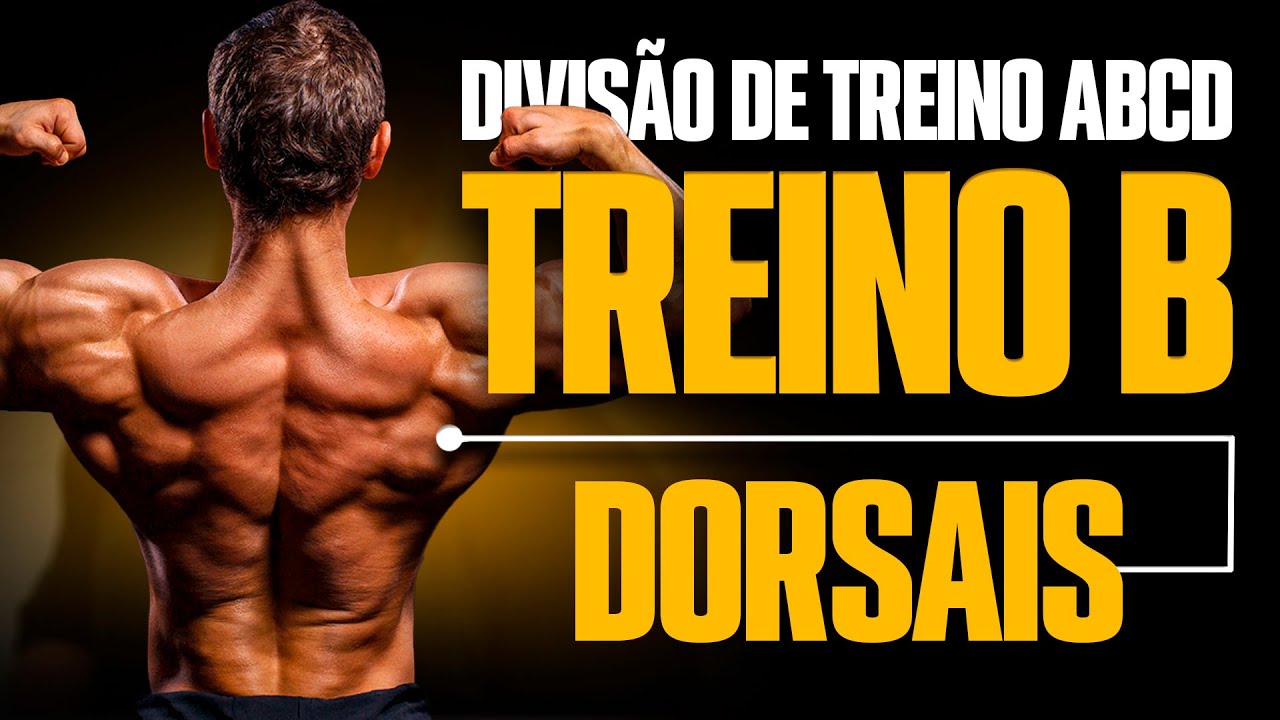 USE ESSA DIVISÃO *TREINO B* DORSAIS