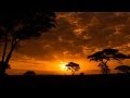 Cool African Music – African Safari