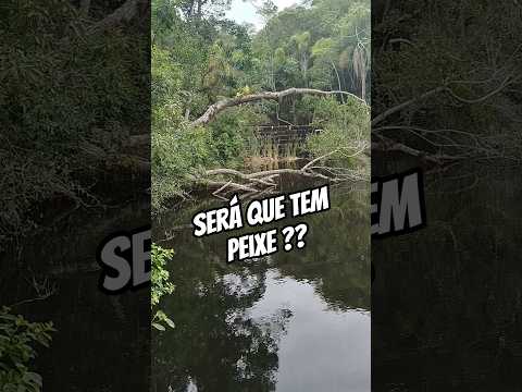 CAIXA DAGUA EM IMBITUBA SANTA CATARINA  #fishing #pescaria #laguna #imbituba #fish #lago