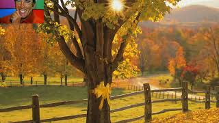 Perry Como   Tie A Yellow Ribbon  Round The Old Oak Tree
