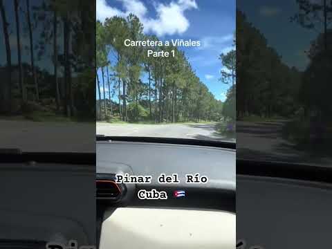 Pinar del Río, Viñales Cuba 🇨🇺 #travel #youtubeshorts #guajira #cuba #campo #naturaleza #fypage