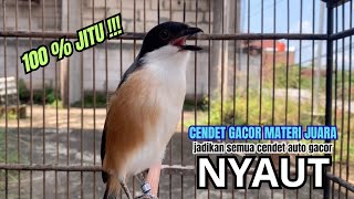 Download lagu cendet gacor BONGKAR MATERI paling AMPUH PANCINGAN CENDET AGAR BUNYI bikin BURUNG PENTET GACOR EMOSI mp3