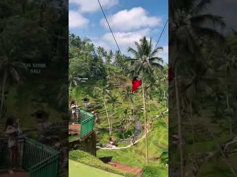 Expectations vs reality of Bali swing😂😂 #baliswing #bali