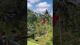 Download lagu Expectations vs reality of Bali swing😂😂 #baliswing #bali mp3