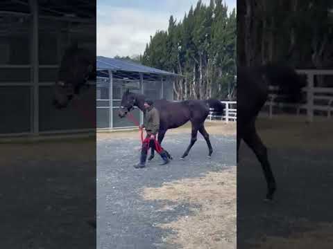 {{itemName}}_video_thumbnail